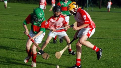 Mid 12A Hurling -v- Loughmore Castleiney