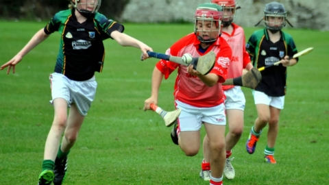 Mid Under 12 Group 3 Hurling 2013