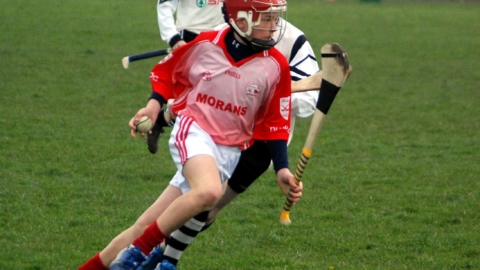 Féile Mid Final 2008