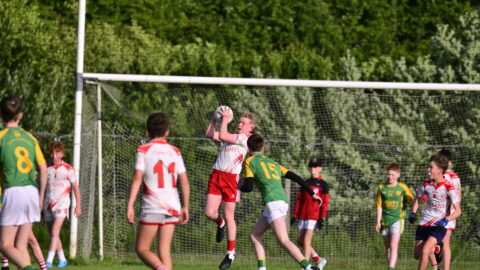 Under 15 Football Co.League D Div2 Final 25
